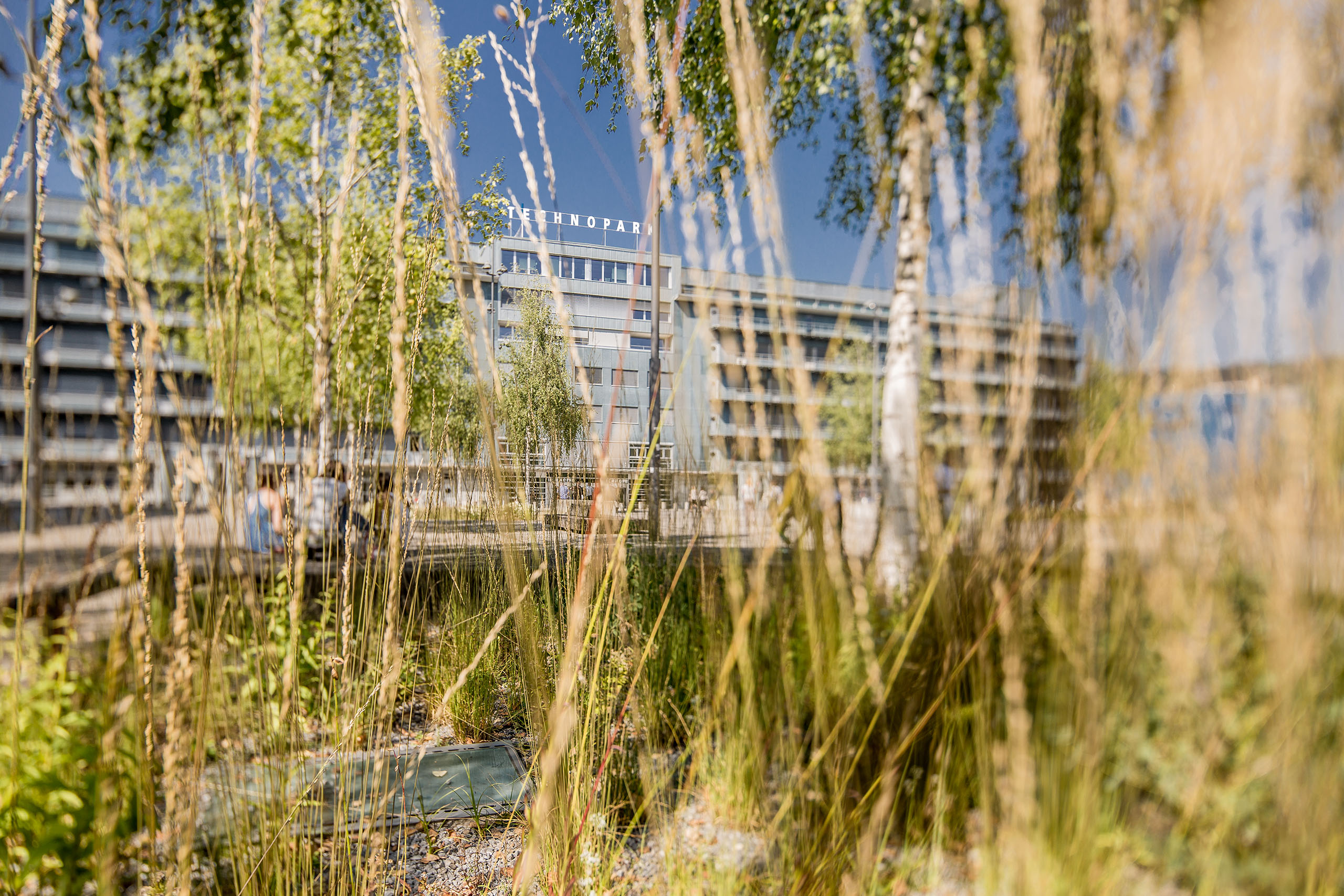Projektvorschau: Architektur